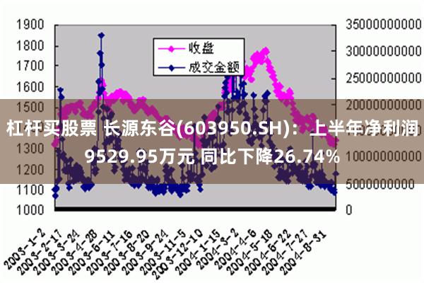 杠杆买股票 长源东谷(603950.SH)：上半年净利润9529.95万元 同比下降26.74%