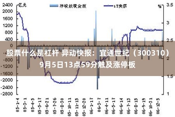 股票什么是杠杆 异动快报：宜通世纪（300310）9月5日13点59分触及涨停板