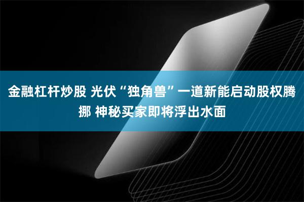 金融杠杆炒股 光伏“独角兽”一道新能启动股权腾挪 神秘买家即将浮出水面