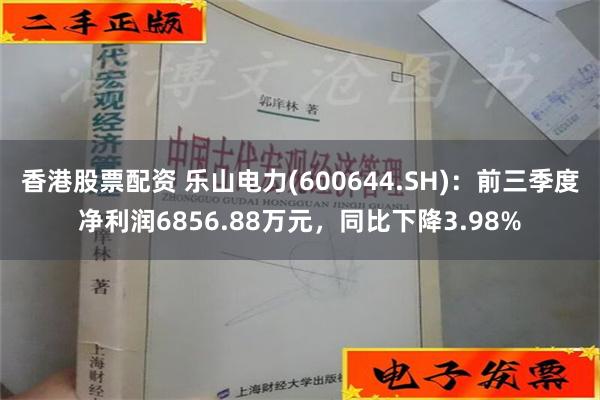 香港股票配资 乐山电力(600644.SH)：前三季度净利润6856.88万元，同比下降3.98%