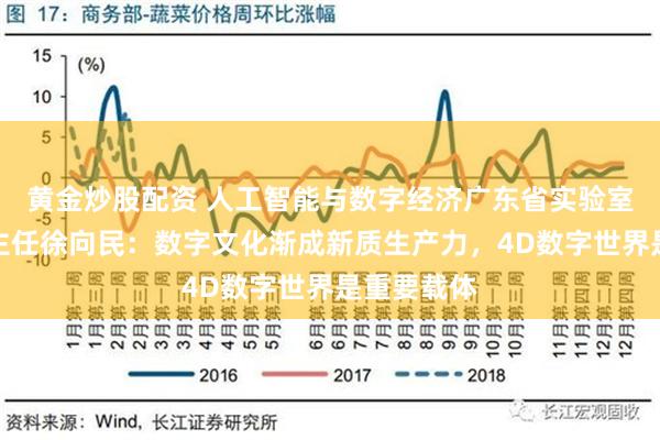 黄金炒股配资 人工智能与数字经济广东省实验室（广州）主任徐向民：数字文化渐成新质生产力，4D数字世界是重要载体