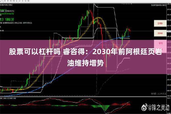 股票可以杠杆吗 睿咨得：2030年前阿根廷页岩油维持增势