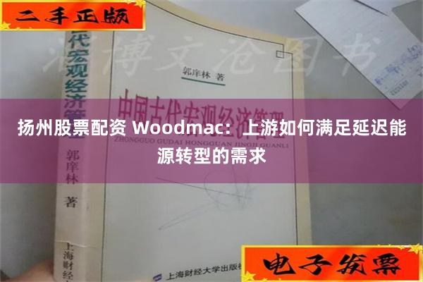 扬州股票配资 Woodmac：上游如何满足延迟能源转型的需求